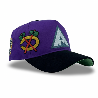 "Big ACC" Logo Snapback (Purple/Black)